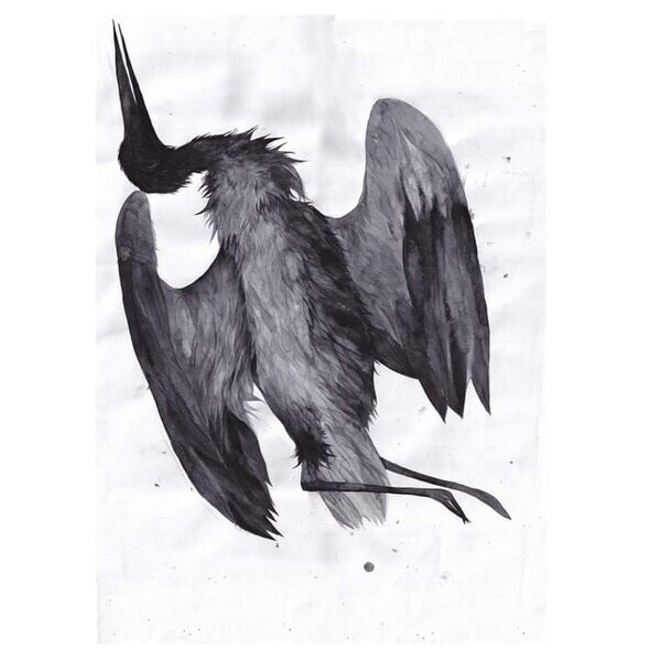 Едуард Балула Едуард Балула