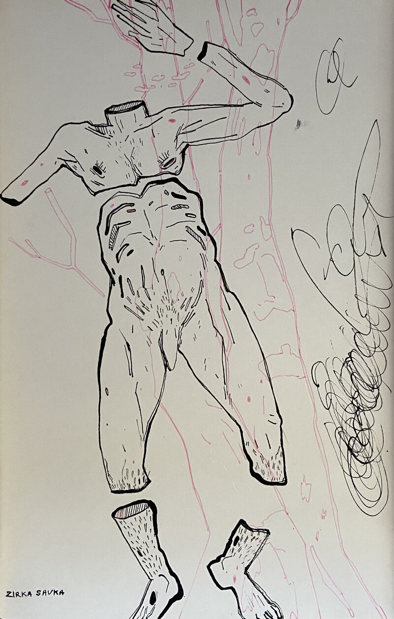 Зірка Савка Зірка Савка